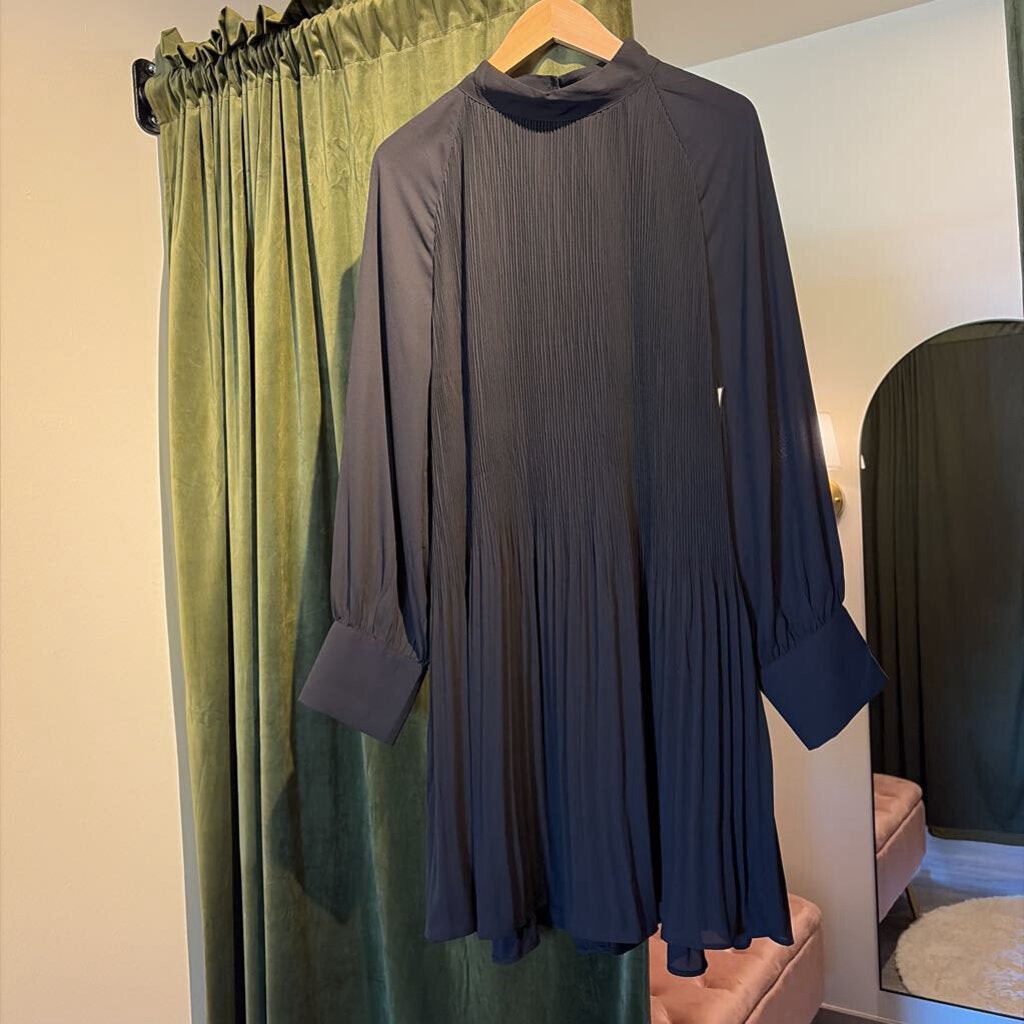 Long Sleeve Pleated
