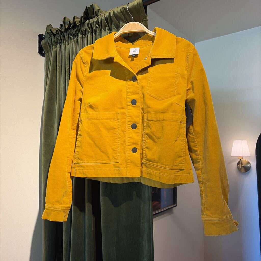 Corduroy